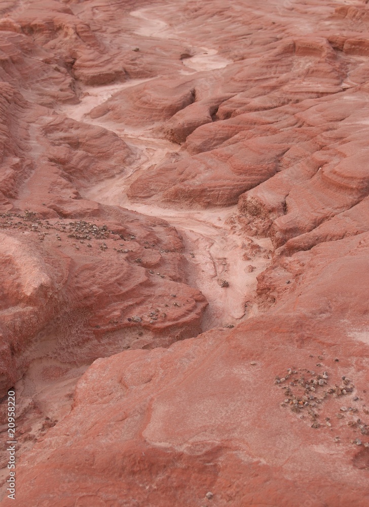 The effects of erosion on completely deforested soil The effects of erosion on completely deforested soil