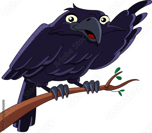 Raven