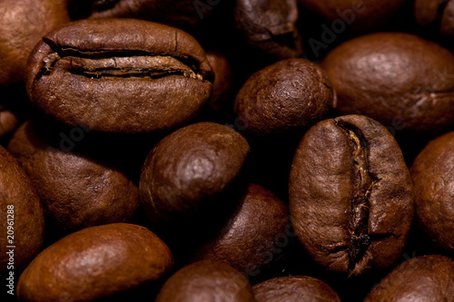 Wallpaper Mural coffee beans Torontodigital.ca