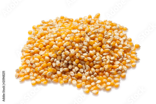 chcchi di grano su fondo bianco