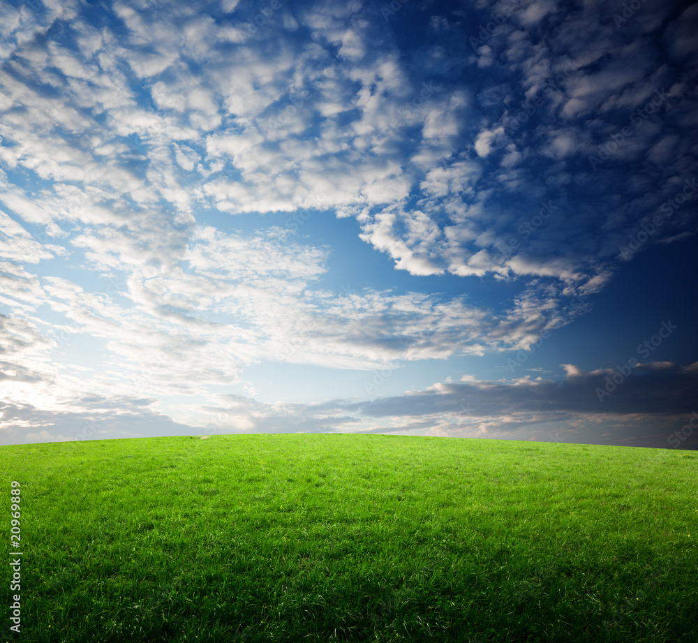 field of grass and sunset field of grass and sunset