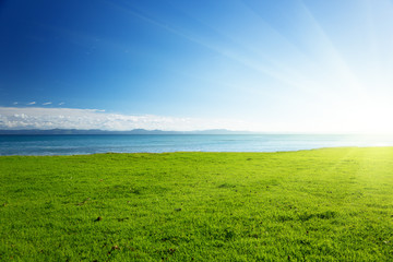 Caribbean sea and field of green grass