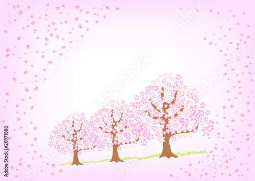 桜の並木道 © tokurupoco