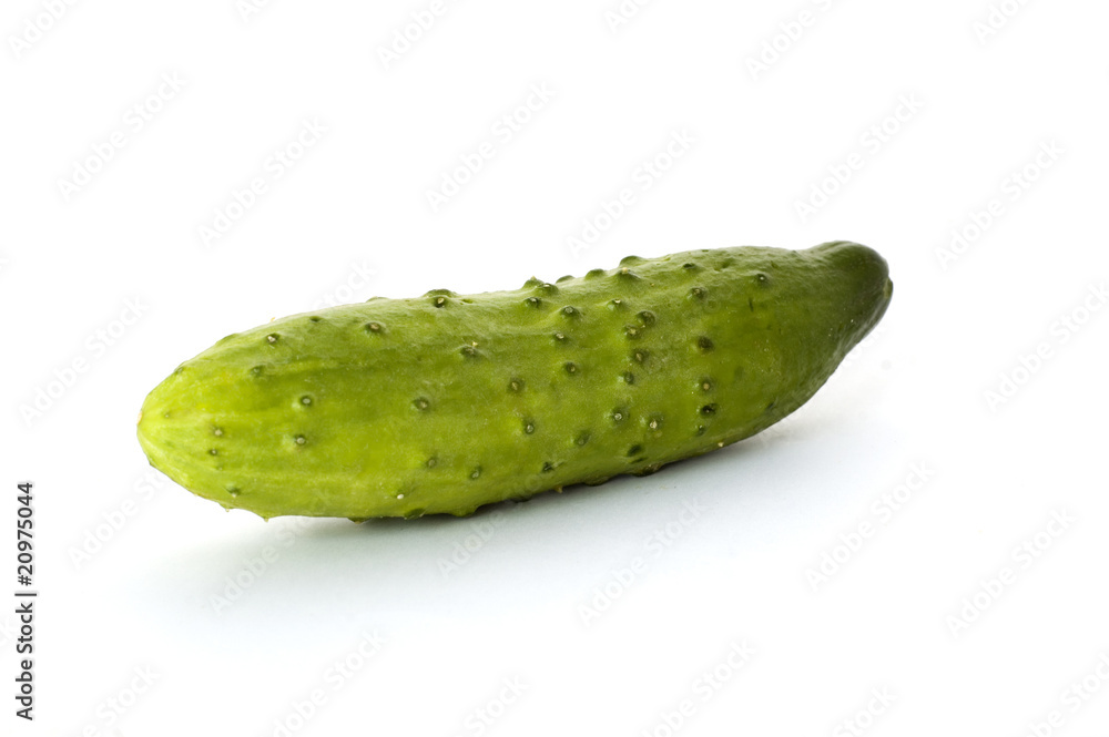 fresh cucumber fresh cucumber