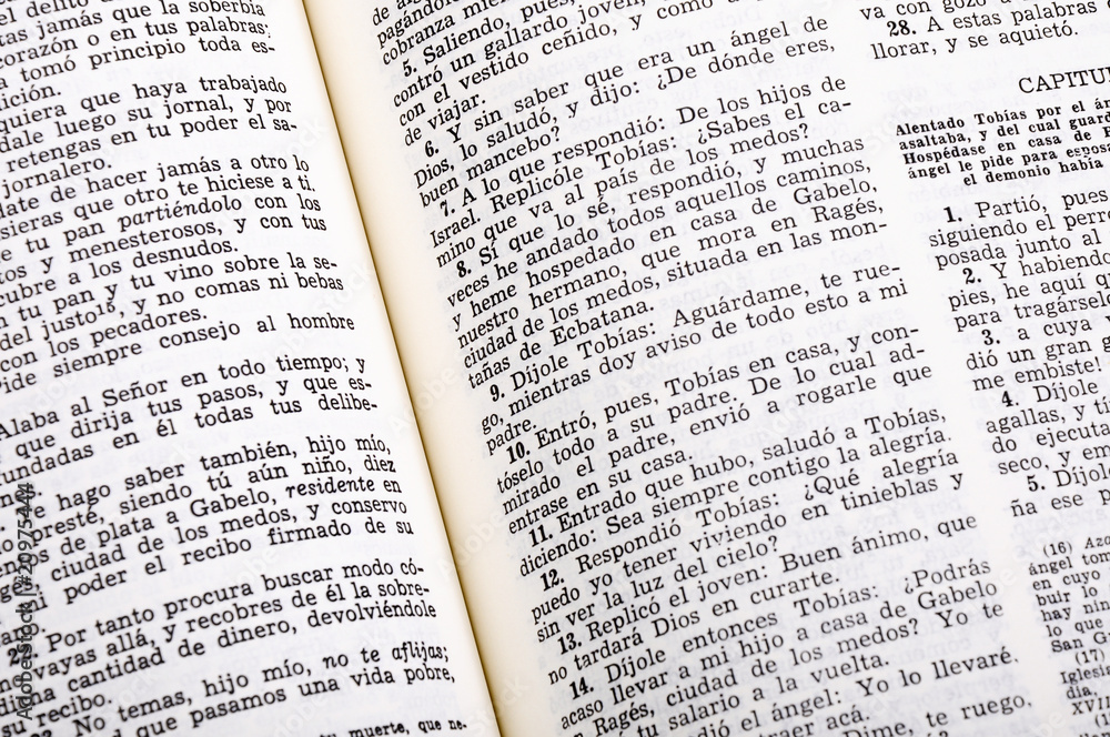 Fototapeta premium La Santa Biblia