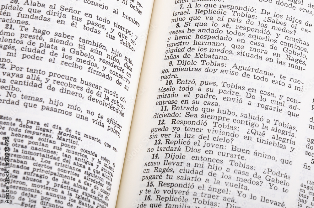 Fototapeta premium La Santa Biblia
