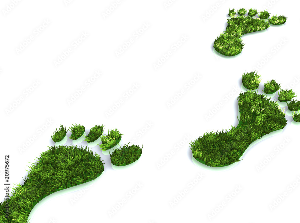 Fußspuren Gras StockIllustration Adobe Stock