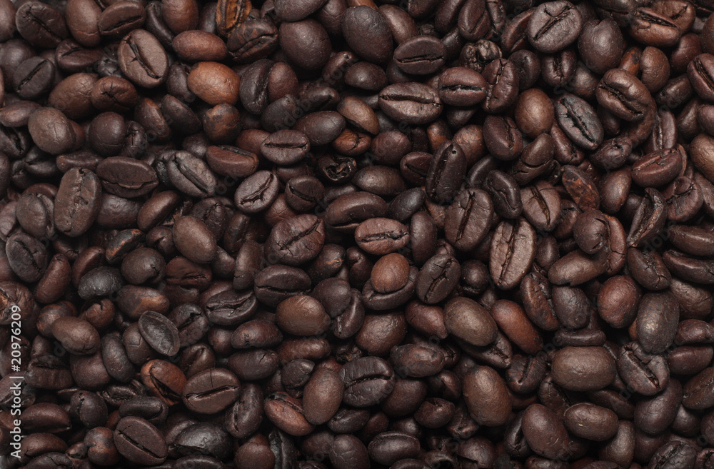 Fototapeta premium Coffee Beans