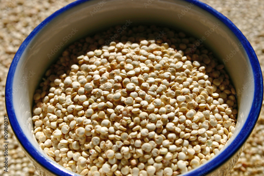 quinoa quinoa