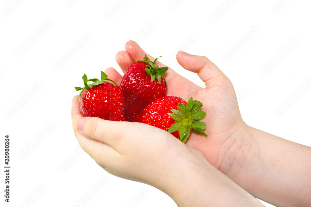 Obraz premium Strawberry in hands