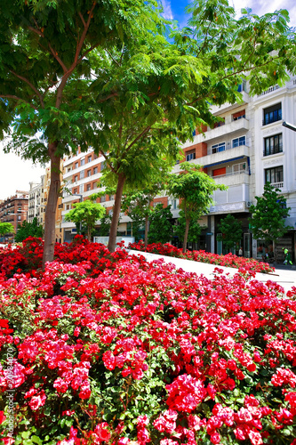 Wallpaper Mural On the street of old Spain town Torontodigital.ca