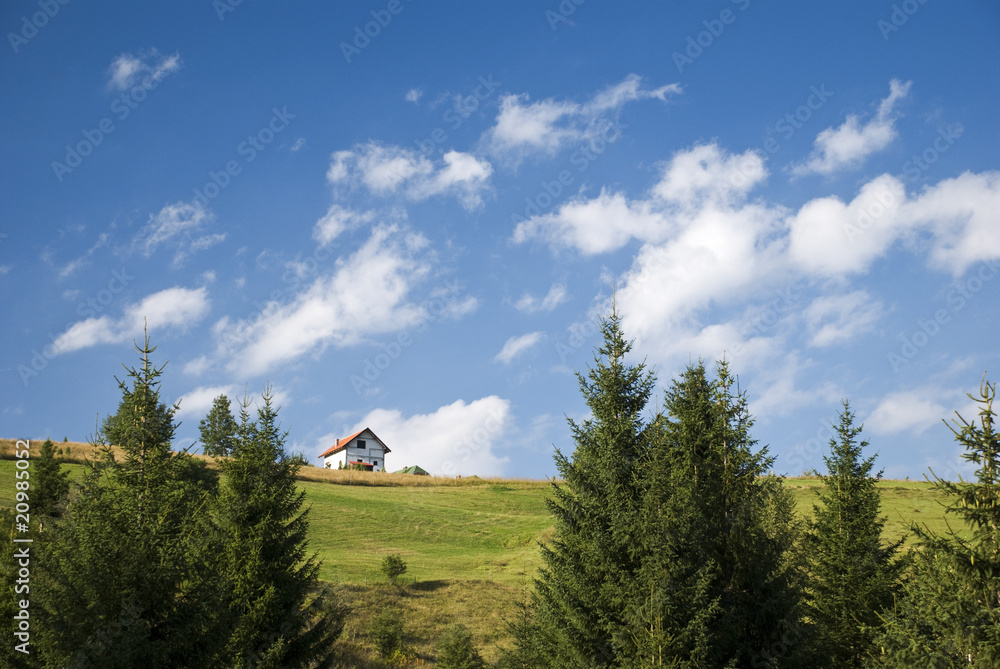 mountain house and forest