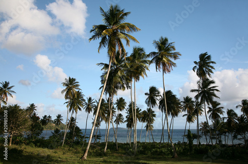 Caribbean Landscape © Vladimir Wrangel