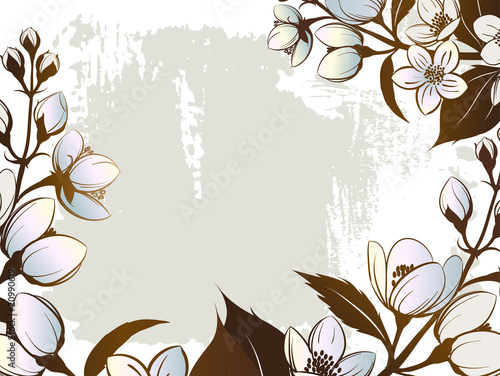 Jasmine
