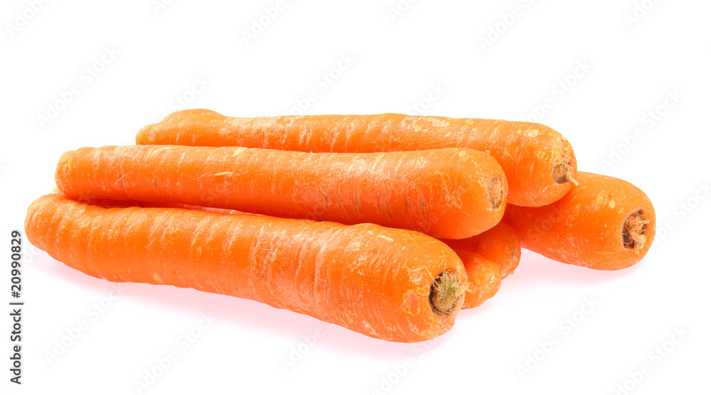 Carrot Carrot