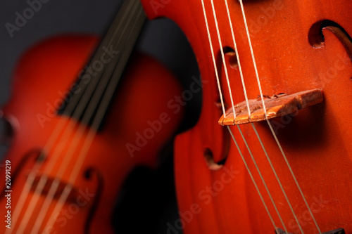 violini photo