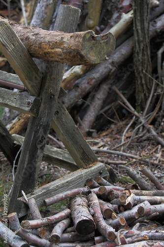 Fototapeta Naklejka Na Ścianę i Meble -  taglio della legna