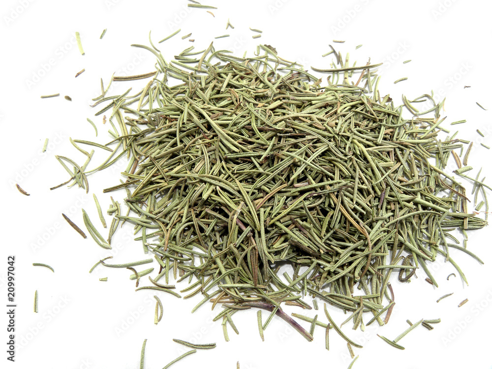 Rosemary on white background Rosemary on white background