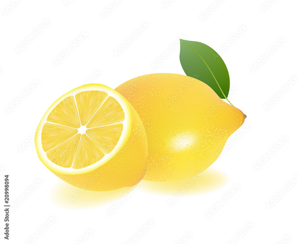sliced lemon vector illustration sliced lemon vector illustration