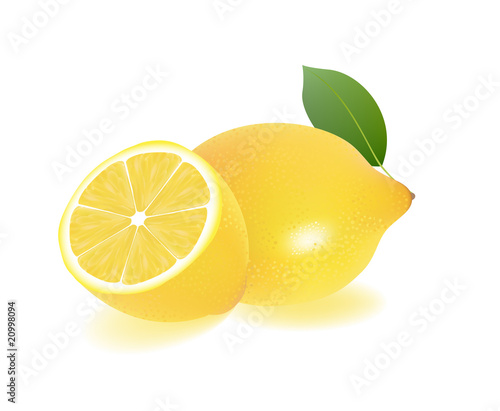 sliced lemon vector illustration