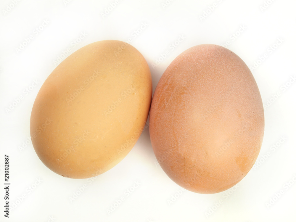 Close-up of raw eggs on white background Close-up of raw eggs on white background