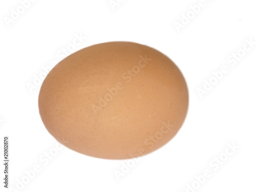 egg on the white background