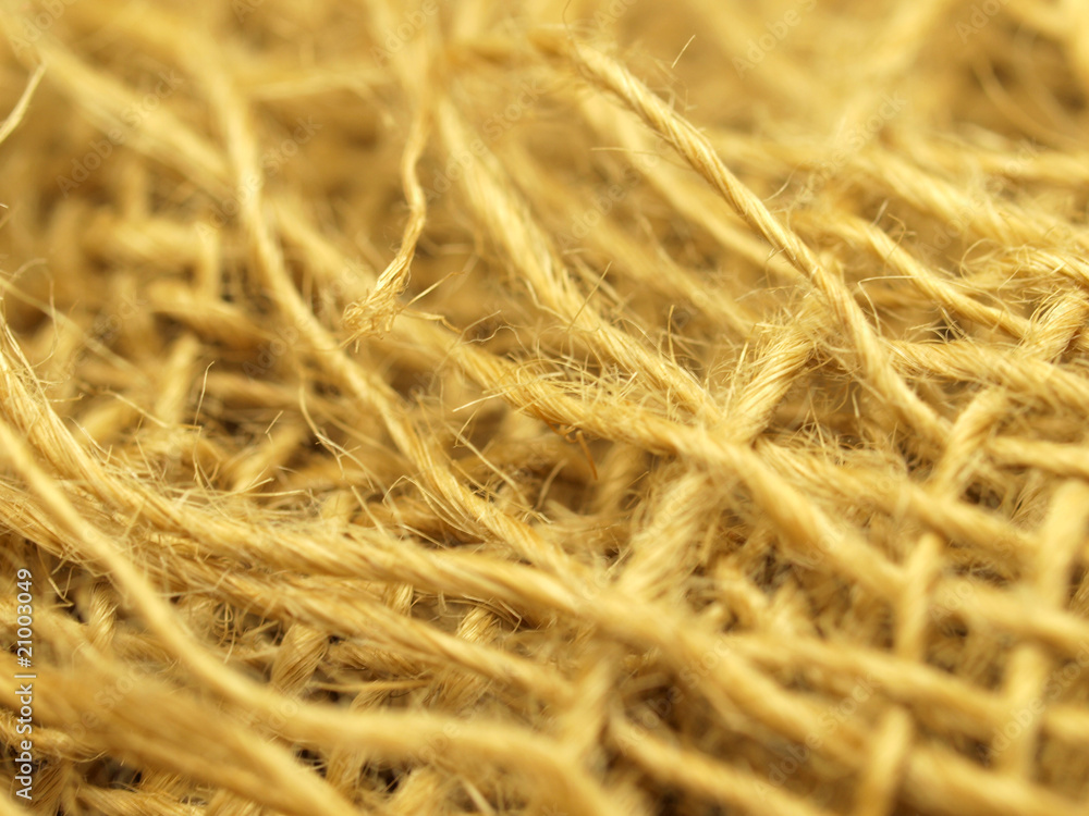 macro of canvas, low depth of focus macro of canvas, low depth of focus