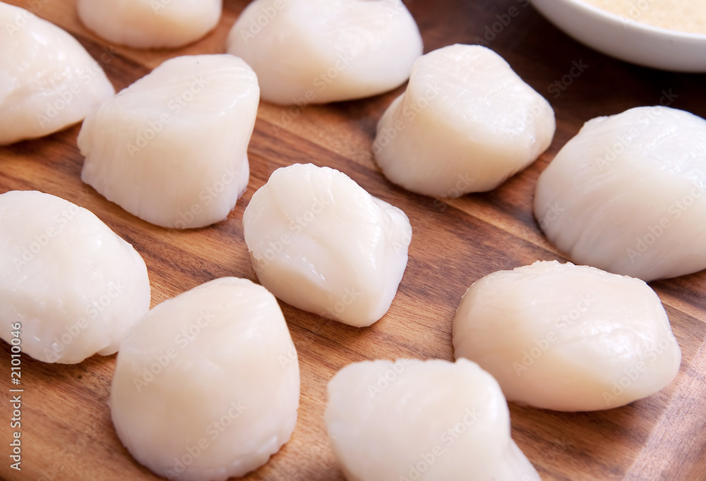 fresh scallops fresh scallops