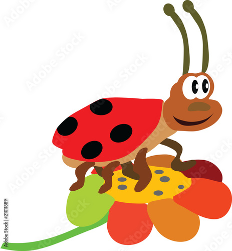 The ladybird