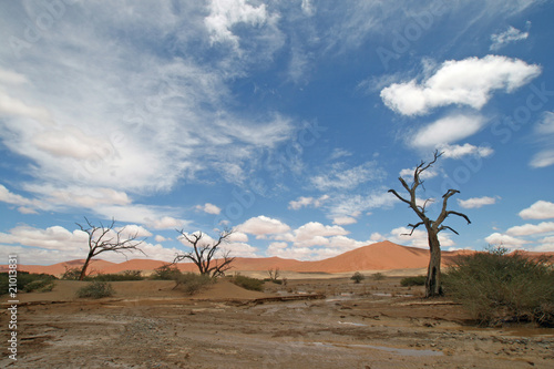 Wonderful red dune in Sossuvlei.Namibia © Benshot
