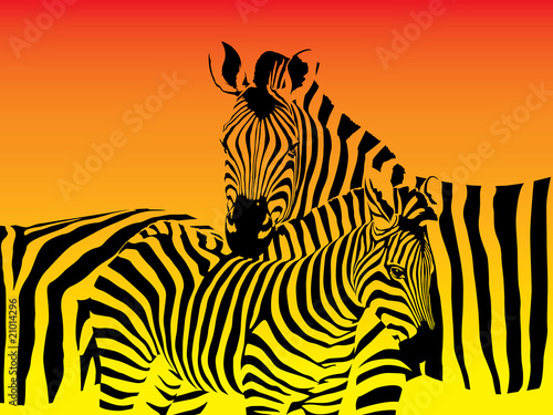 Vector illustration of a herd of zebras