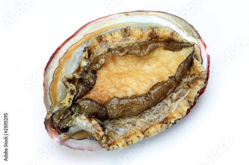 abalone