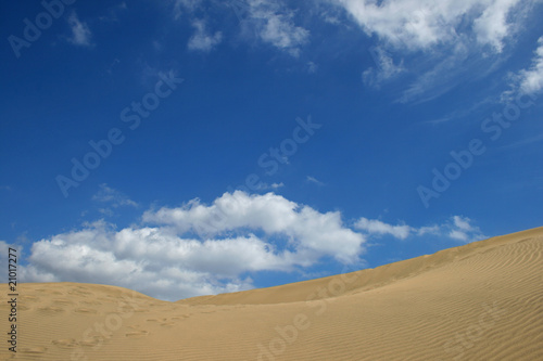 The Wonderful Dunes of Maspalomas.Spain