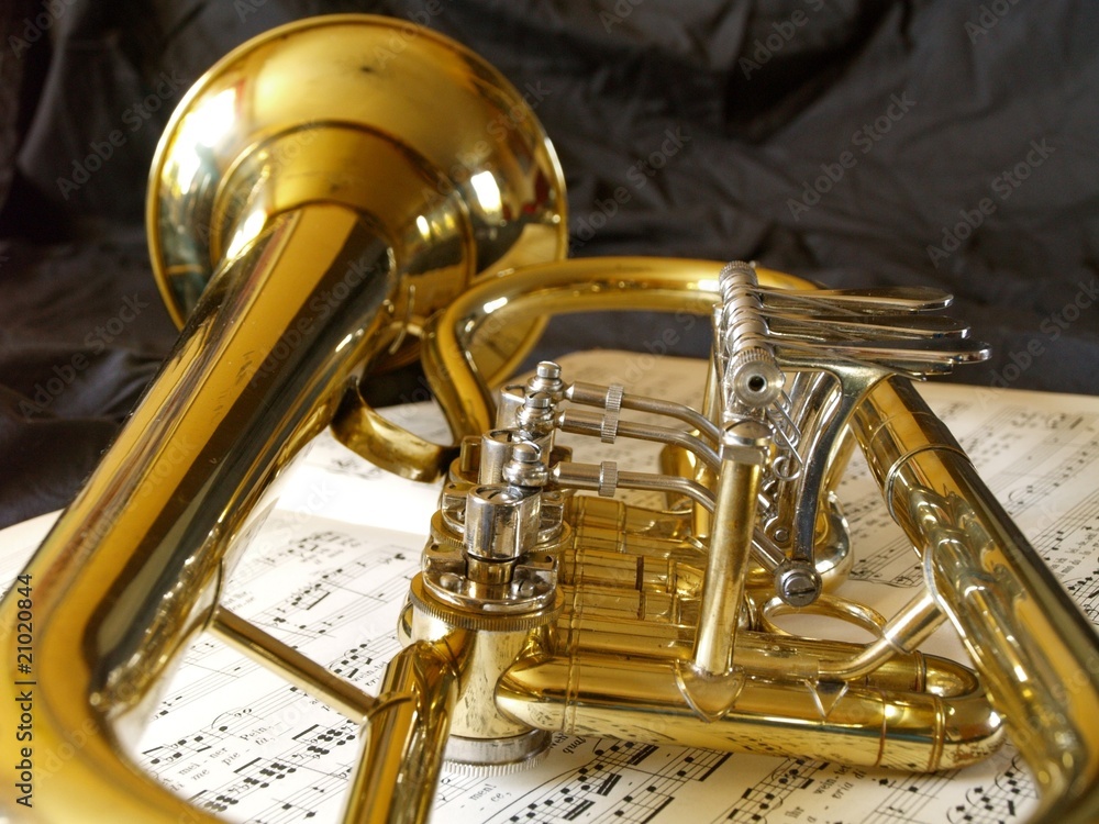 Naklejka premium Flügelhorn 08