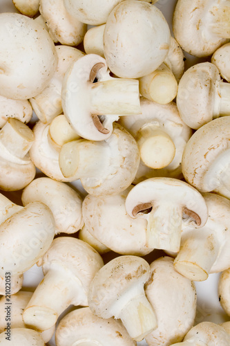 Edible white button mushrooms