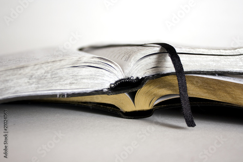 Bibles on White