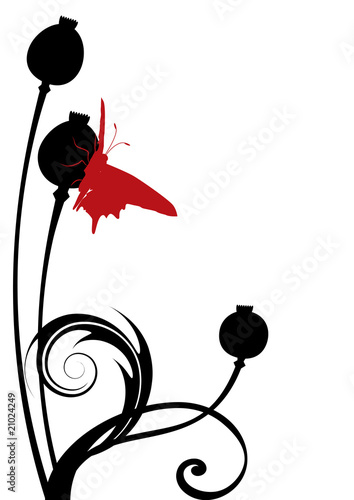 Fototapeta Naklejka Na Ścianę i Meble -  Poppy Seed Heads