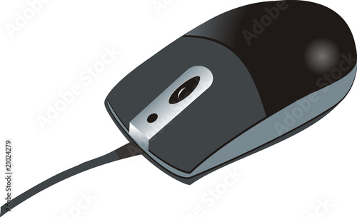 computer mouse on white background