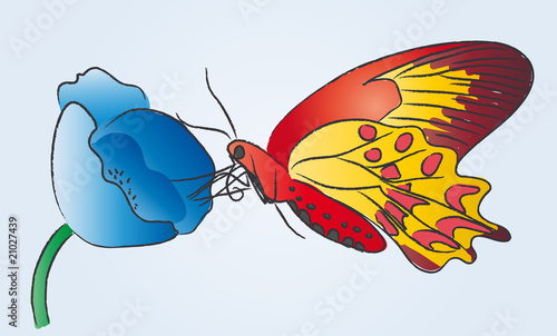 Schmetterling