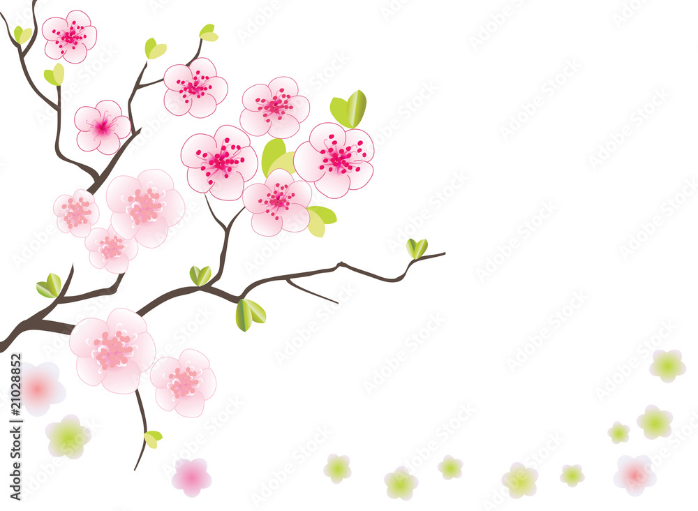 Spring background Spring background