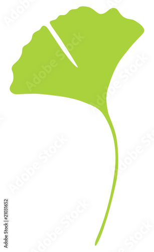 Ginkgo
