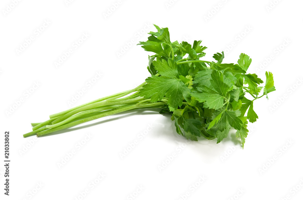 parsley parsley