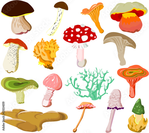 Set of mushroom icons