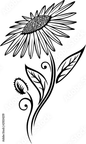 black art, Blume, Blüte, Ranke, floral, filigran