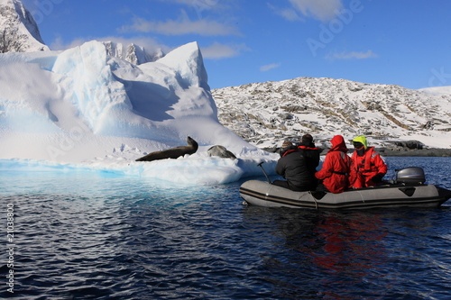 People in Dinghy are very close to very dangerous leopard seals