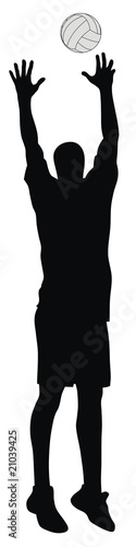 Volleyball player