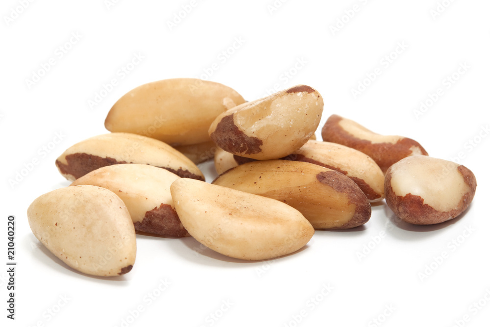 Brazil nut (Bertholletia excelsa) on a white background Brazil nut (Bertholletia excelsa) on a white background