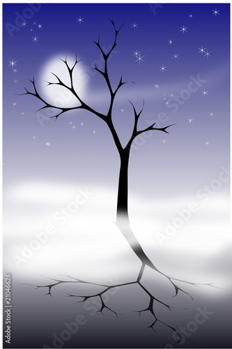 arbre nuit d'hiver bleu
