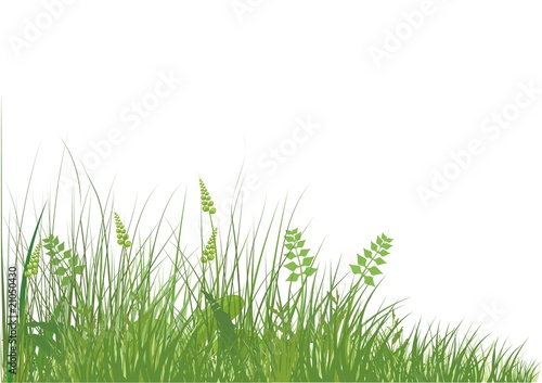 gras