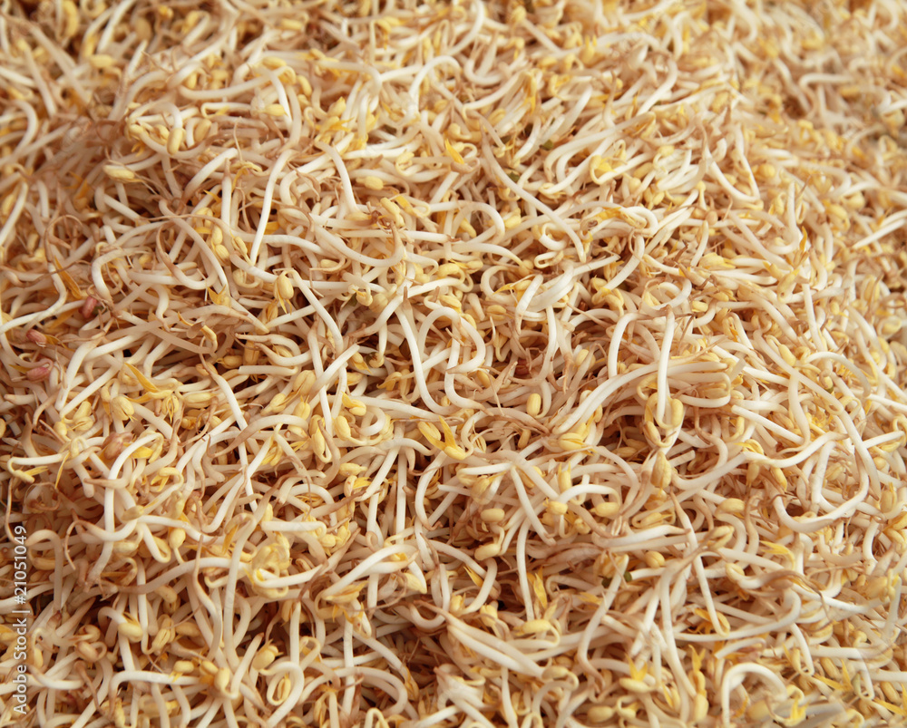 beansprout ingredients beansprout ingredients
